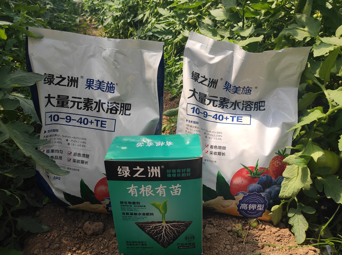 為什么這么多人用綠之洲水溶肥？